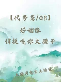【代號(hào)鳶/GB】好姻緣