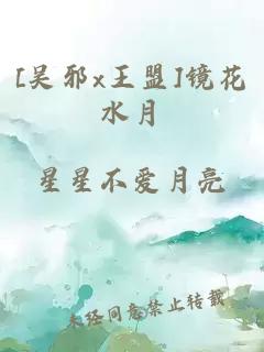 [吳邪x王盟]鏡花水月
