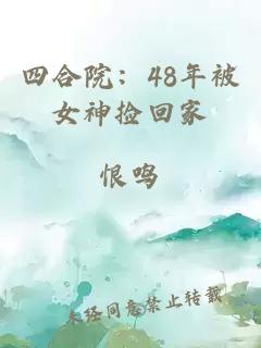 四合院：48年被女神撿回家