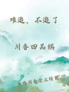 難追，不追了