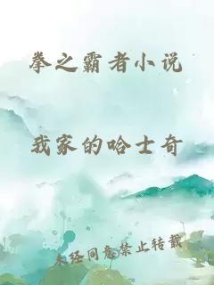 拳之霸者小說