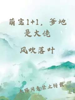 萌寶1+1，爹地是大佬