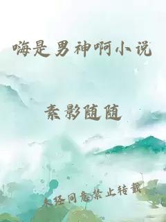 嗨是男神啊小說