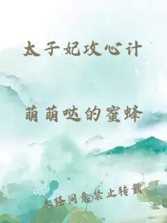 太子妃攻心計(jì)