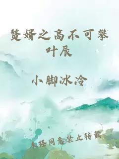 贅婿之高不可攀葉辰